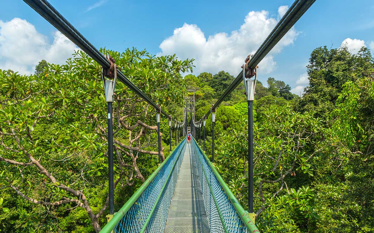 MacRitchie Reservoir