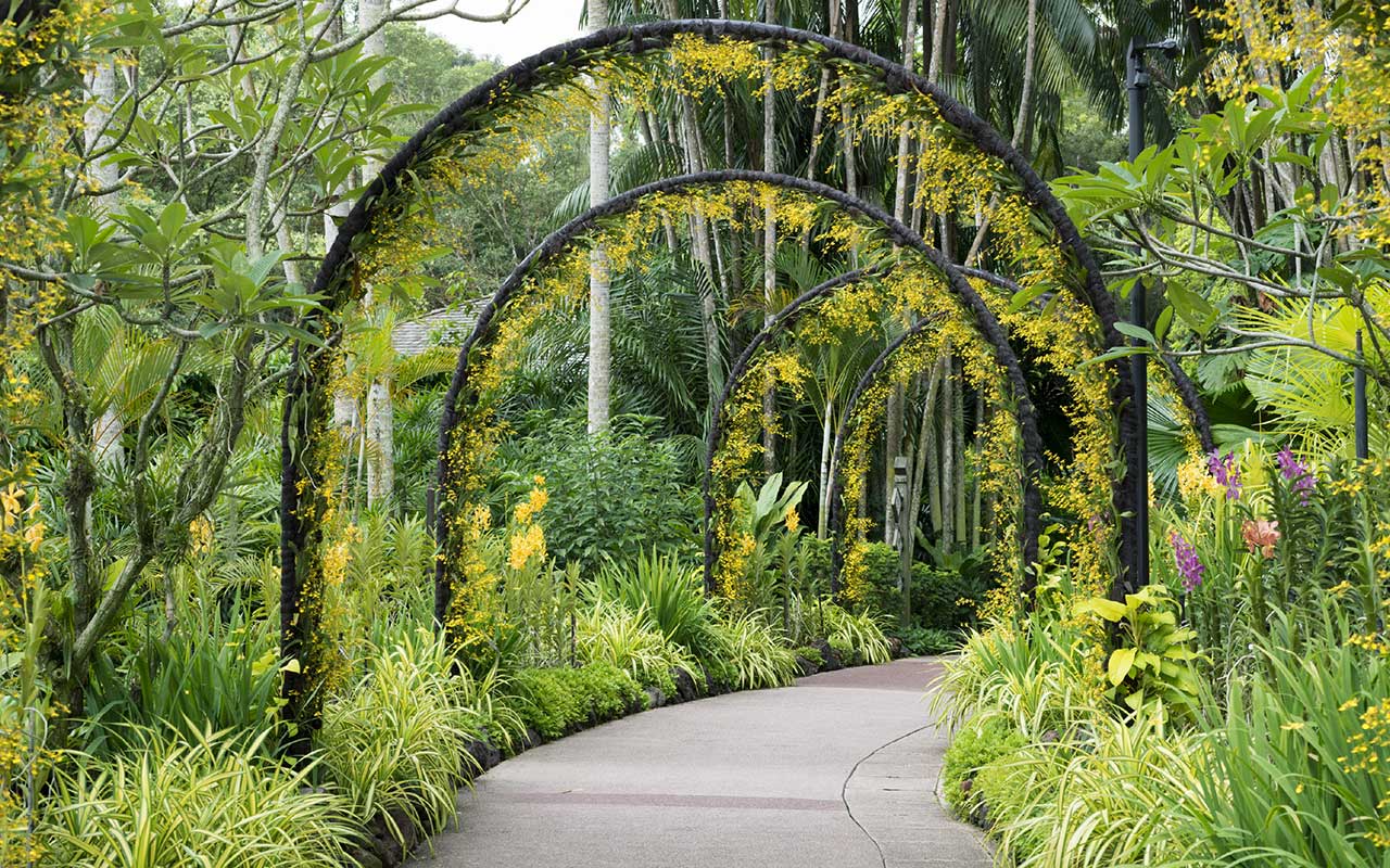 Singapore Botanic Gardens